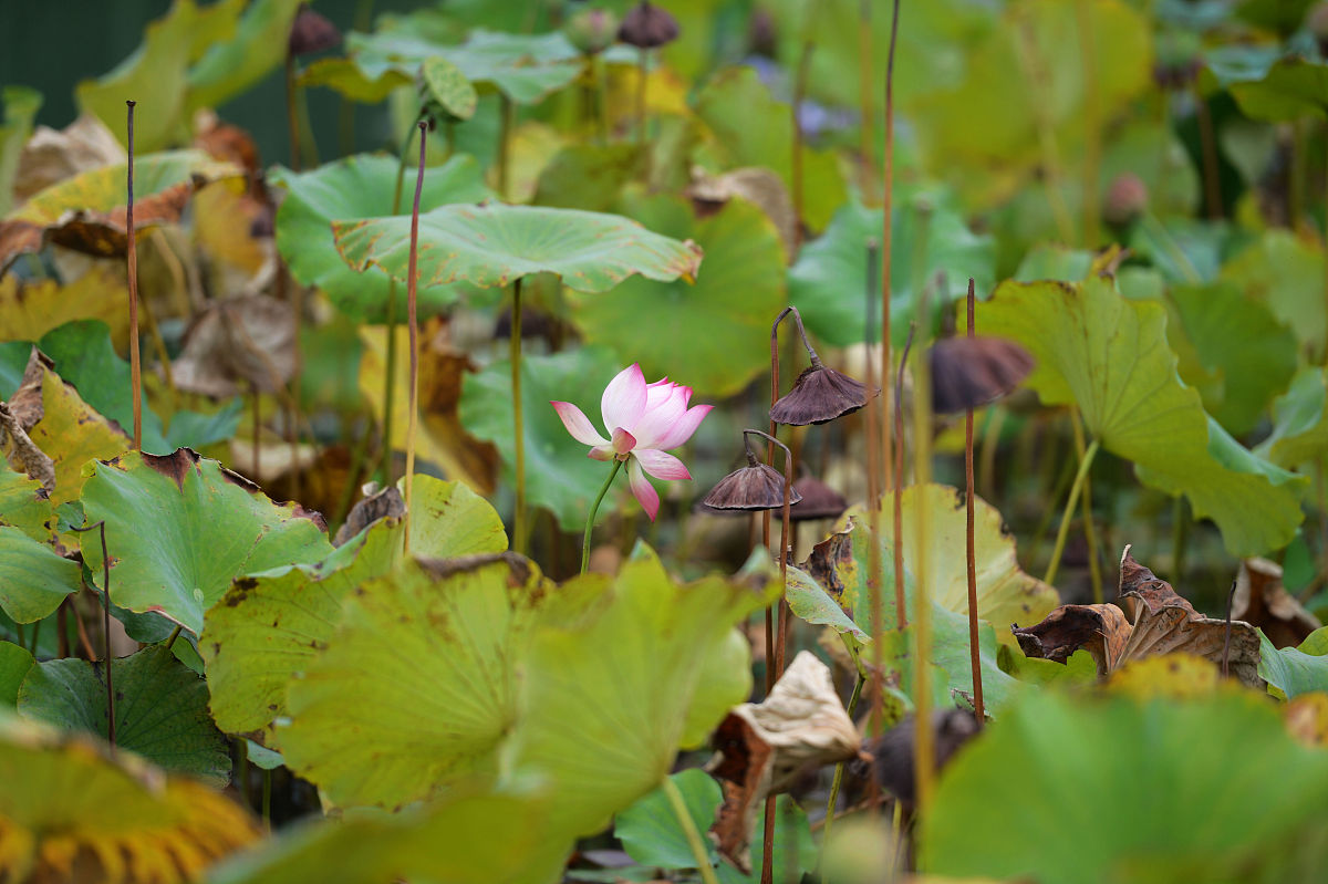 四川大学职业技术学院工程造价专业就业前途大不大