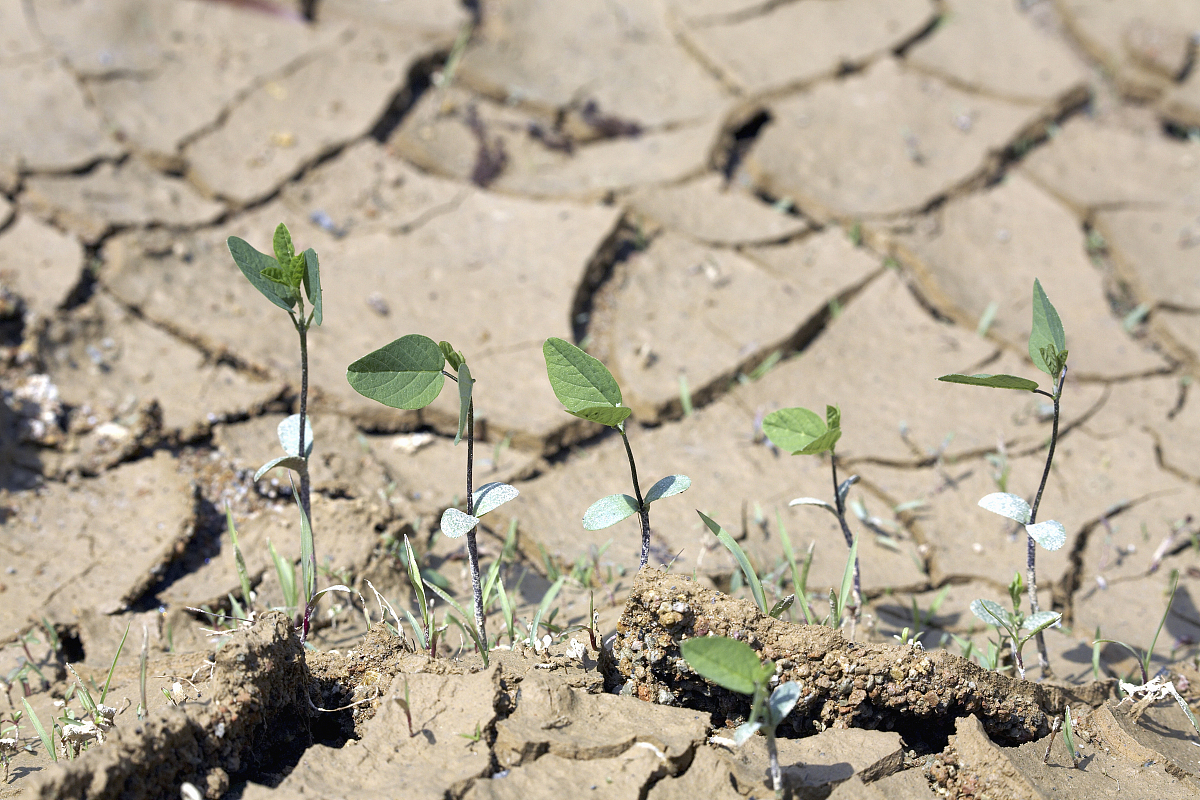 干旱地区研究与管理期刊 (ARID LAND RESEARCH AND MANAGEMENT): 研究范围