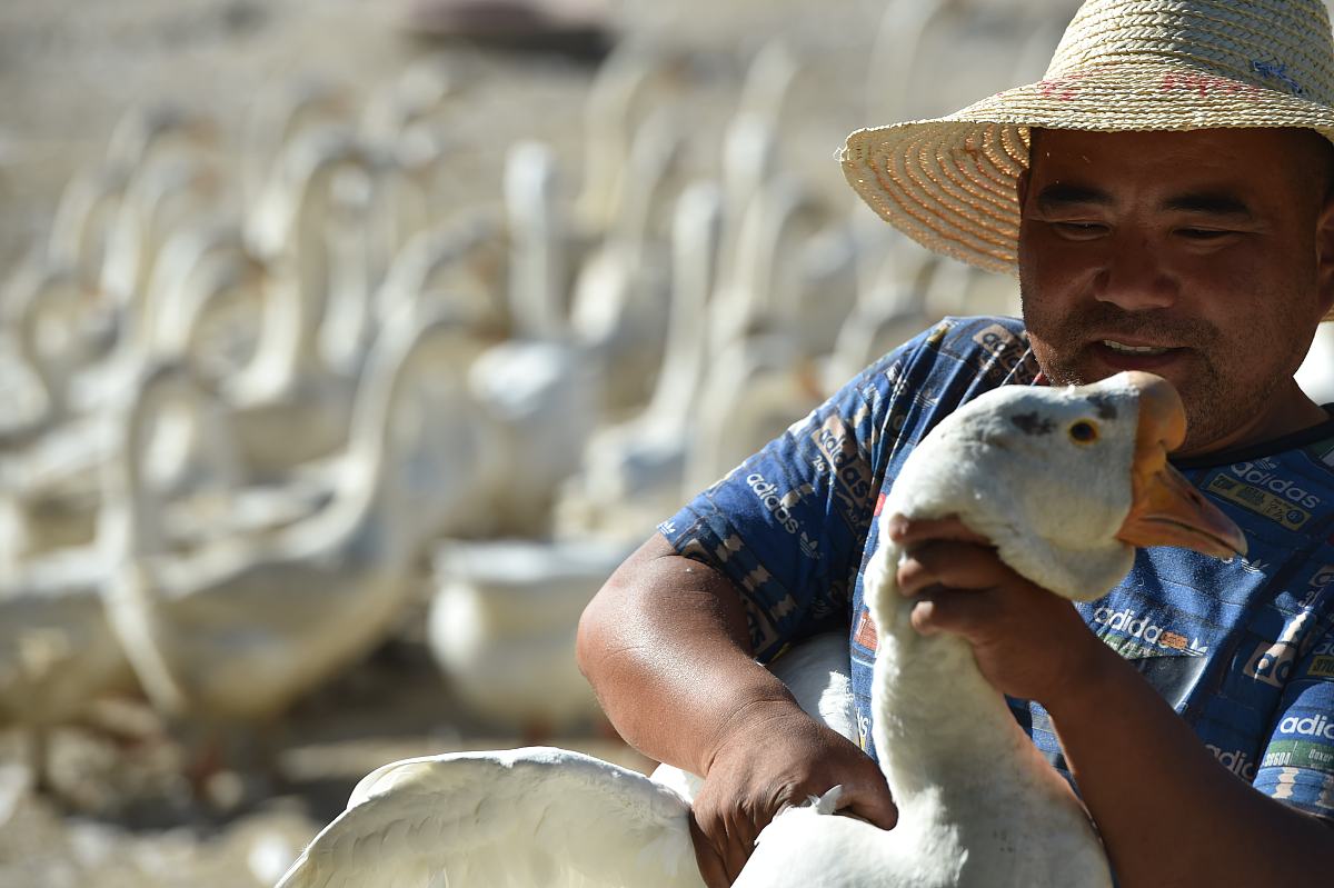 民办合肥财经职业学院会展策划与管理专业怎么样