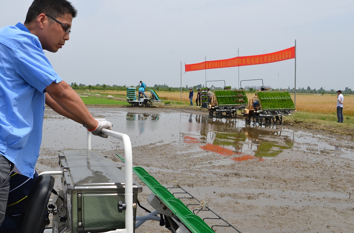 插秧机分插机构设计心得体会：从原理到细节
