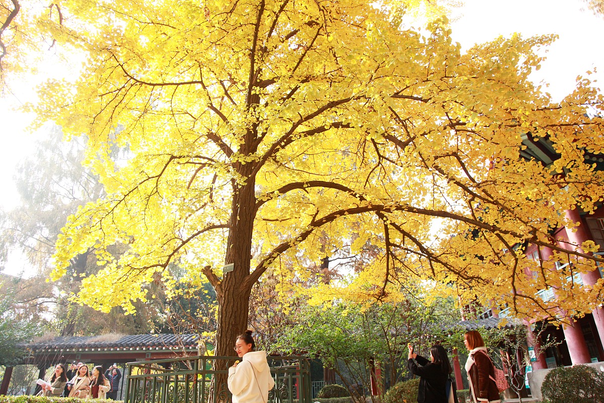 南京师范中专学校简介：专业设置、教学特色与发展优势