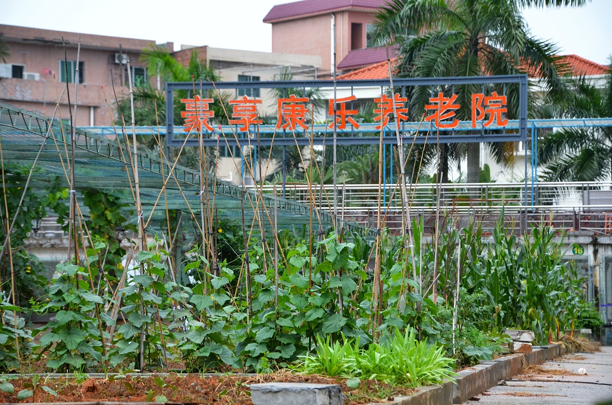 扬州生活科技学校2022年新专业：生态农业专业