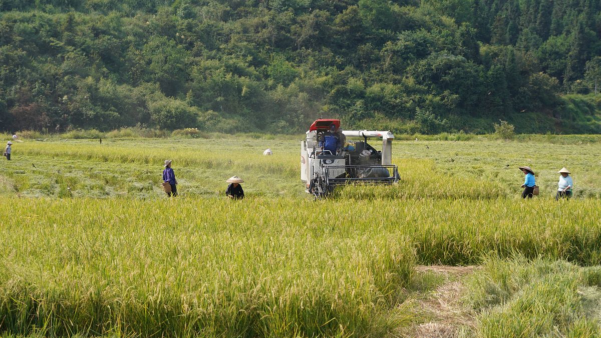 论述在延长县乡村振兴局开展农业机械化推广现状咨询写出目的、时间、过程、结果不少于300字。