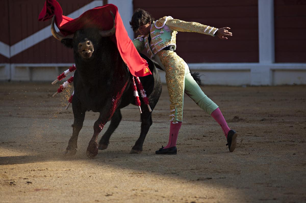 以 西班牙文化的激情与传统为题写一篇1200字文章