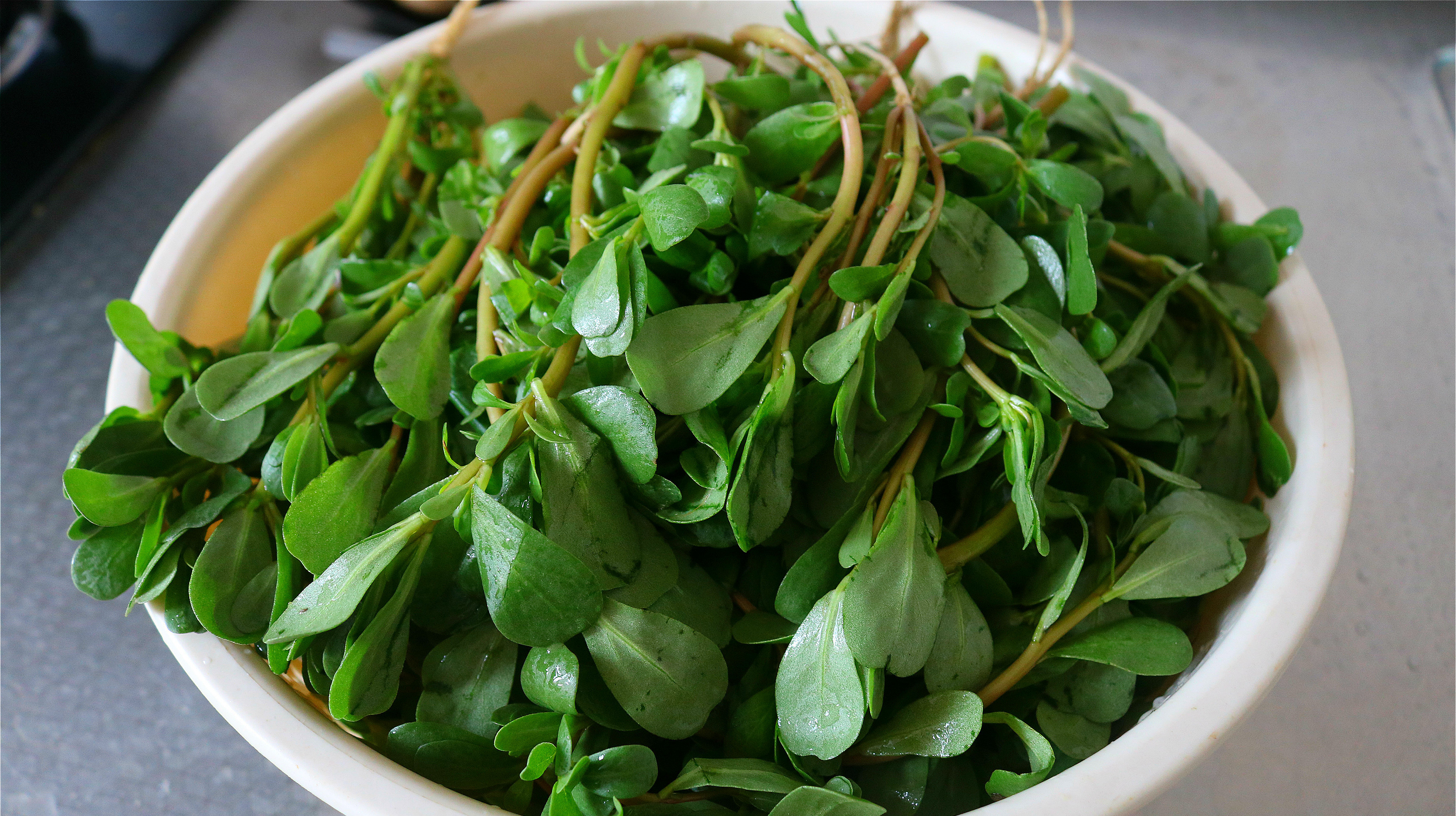 马齿苋最好吃的做法,又香又营养,晶莹剔透,一顿1大盆,真解馋