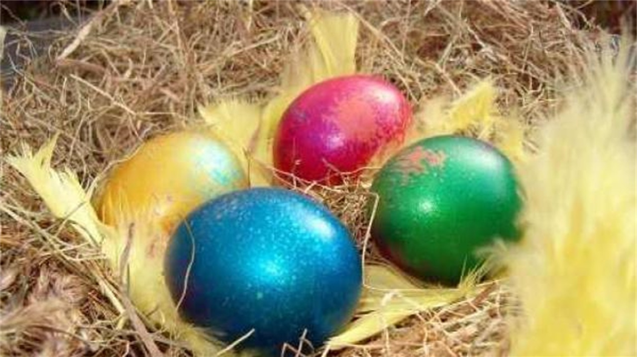 男子在山上捡到一窝“五彩蛋”,带回家让母鸡孵,孵完慌了!