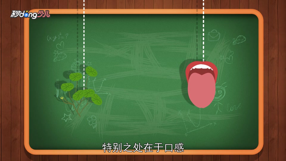 莼菜的特点是什么?