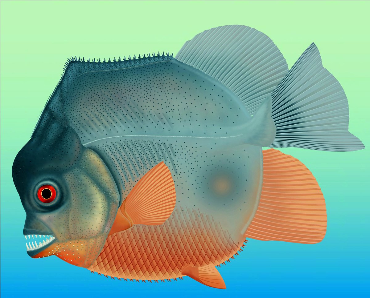 事业D类回答加拓展。