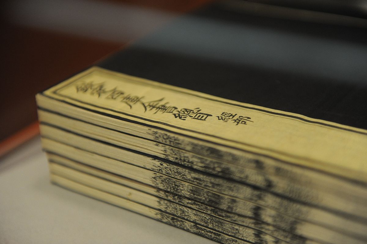 读原著，悟人生：从文字中汲取感悟