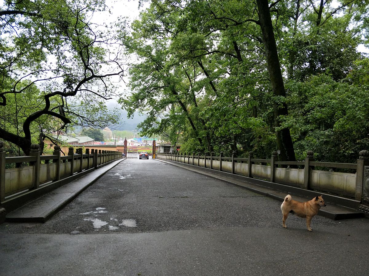 广东南华工商职业学院法律事务专业就业方向：律师、法务、金融等