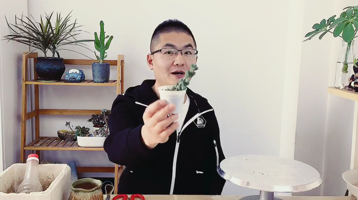 多肉植物扦插繁殖原来这么简单,太复杂反而容易死