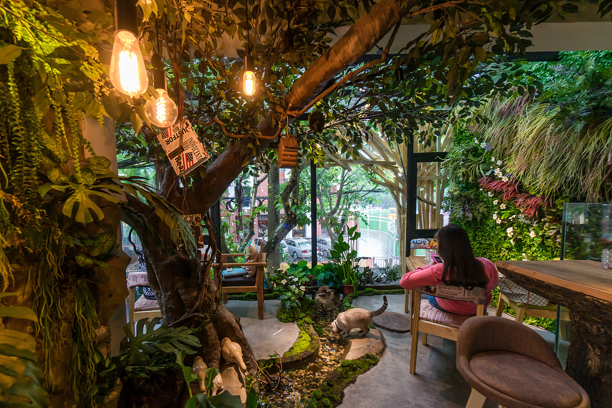 森林主题的花园餐厅