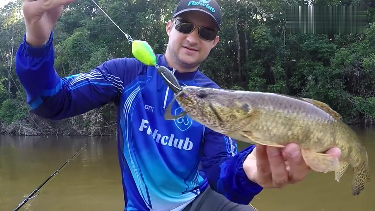 路亚:用假饵刚抛下去一会就钓到一条大鱼,感觉比真饵还好用