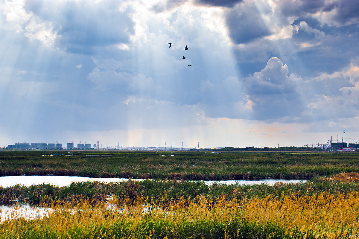 借鉴美国经验，构建中国国家公园视觉资源管理模式