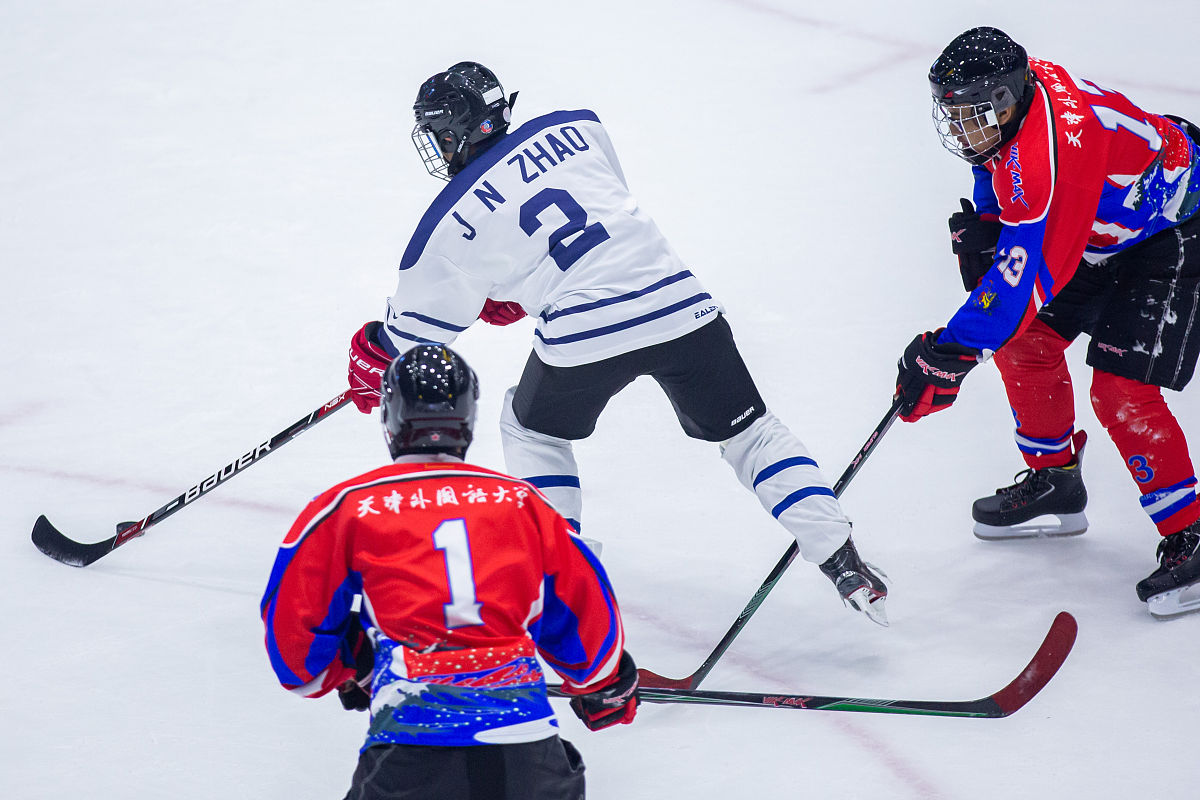 浙江越秀外国语学院意大利语专业培养目标