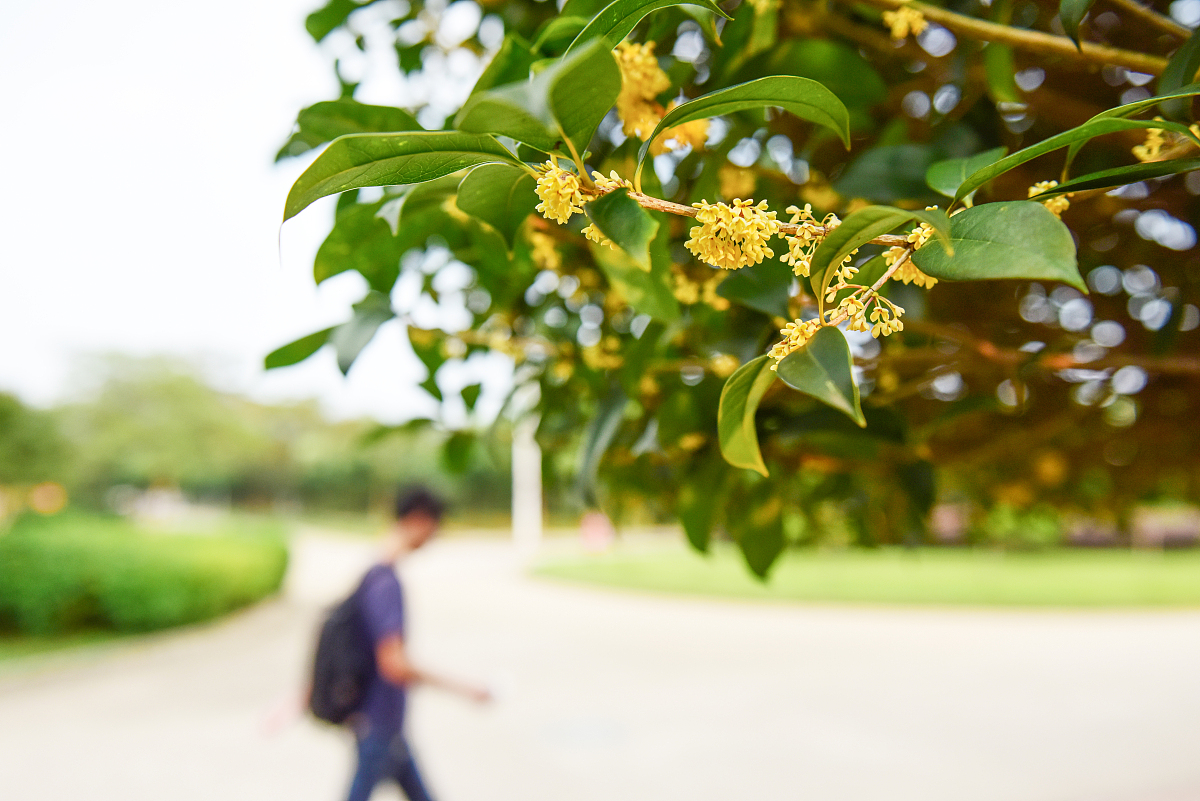 贵阳卫校优势有哪些