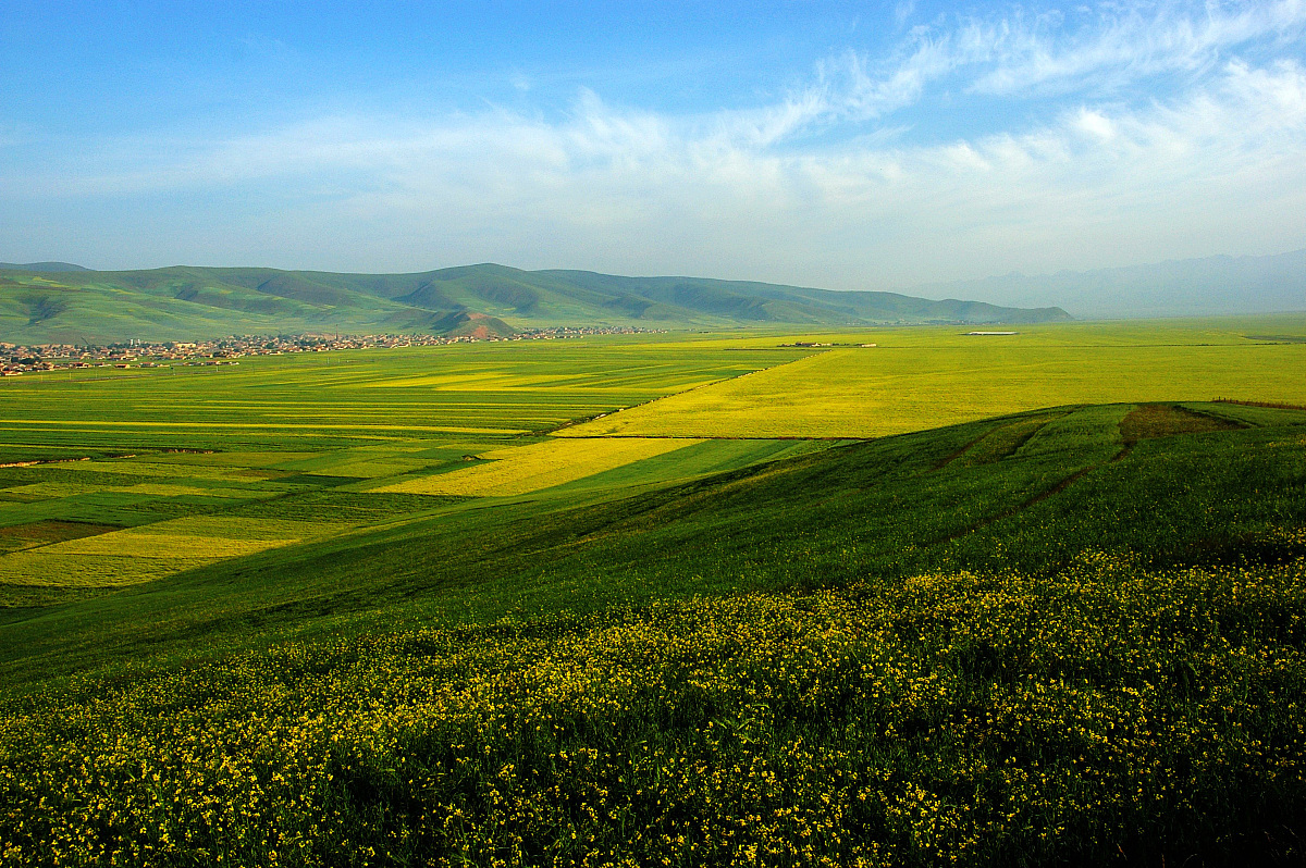 西宁城市职业技术学院单招药剂专业怎么样？值得报考吗？