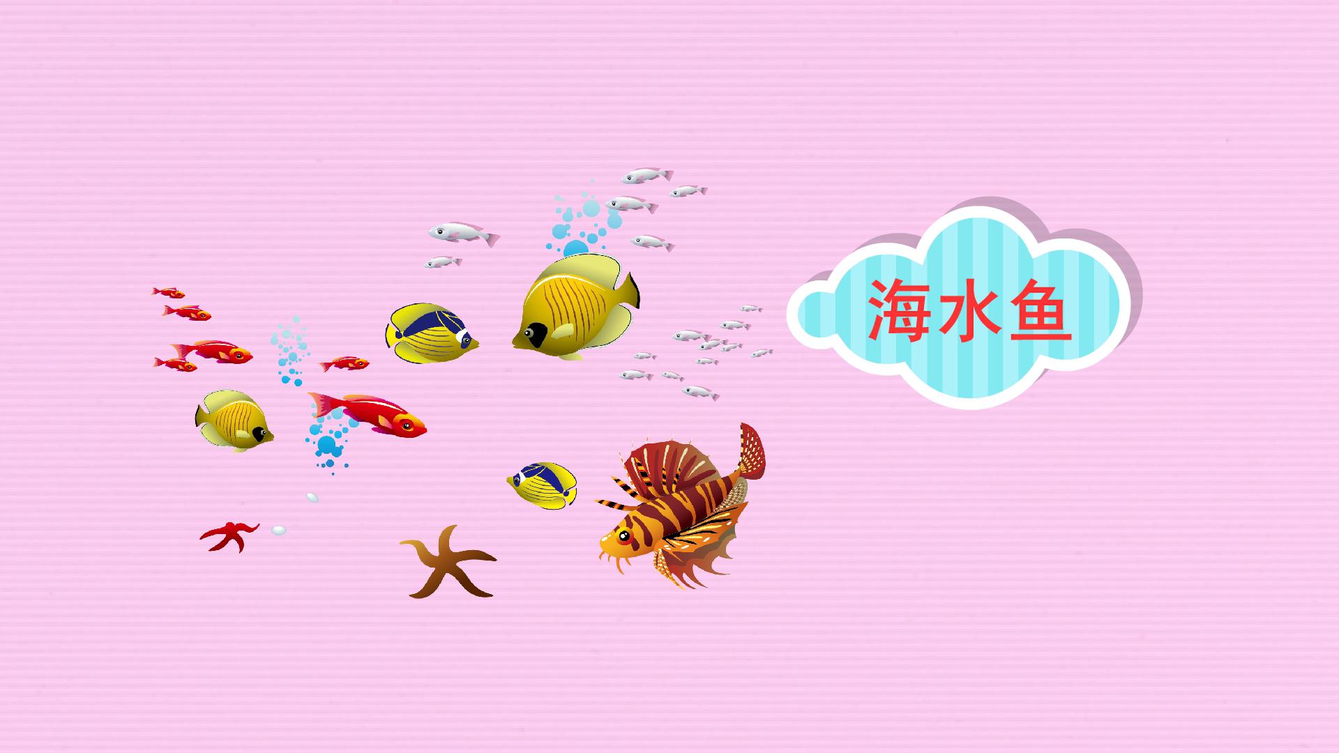 原来海水鱼长这样