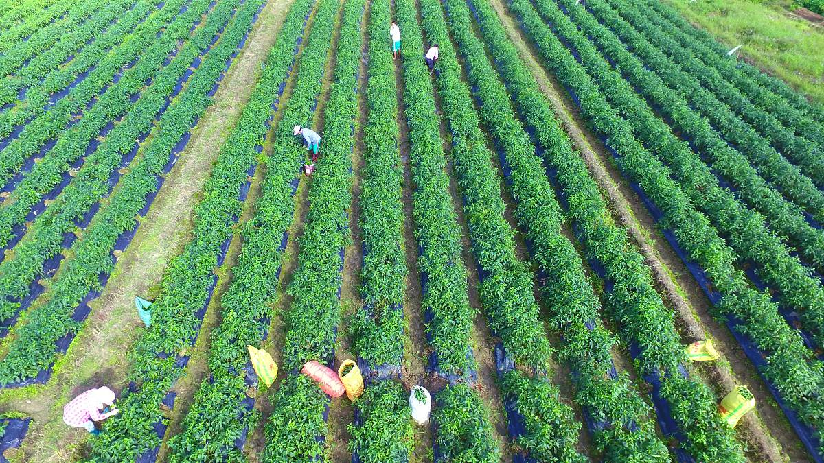 “绿色发展”背景下农民就业问题研究--以大理市为例
修改选题