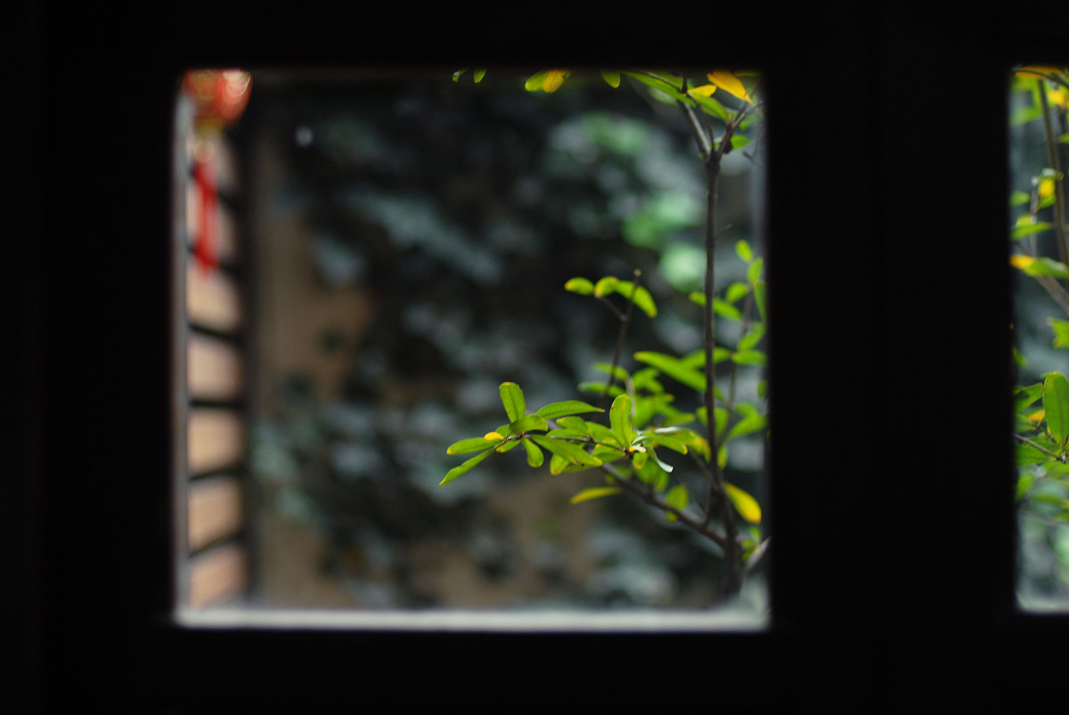 写出江南小说的软件介绍软件特色软件亮点软件优势软件测评