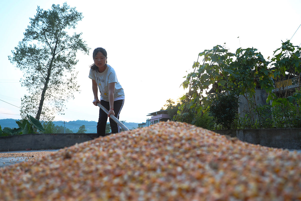 广安市东方文武学校2022年招生条件是什么