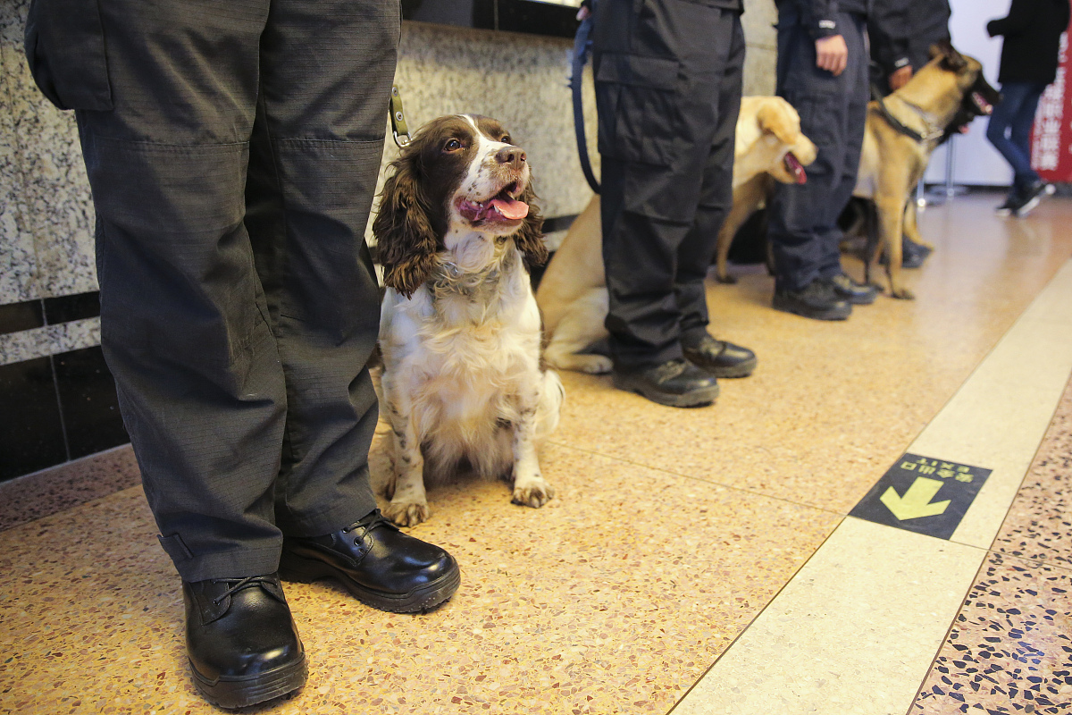 成都大学女生学工程管理专业吗？