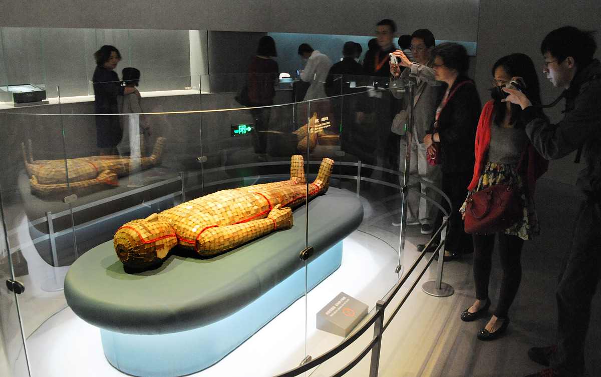 上海震旦职业学院2022年高职扩招最新消息