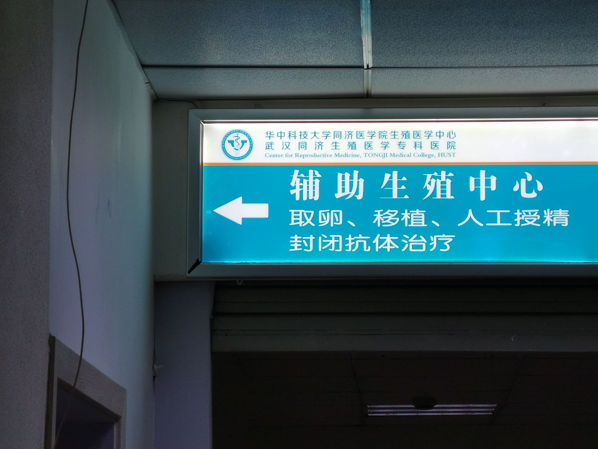 我需要你作为一名SEO帮助我把对应的关键词变为包含多个需求且吸引人的SEO长标题但要注意长标题不可以是疑问句以下是内容：取卵要什么样的身体条件