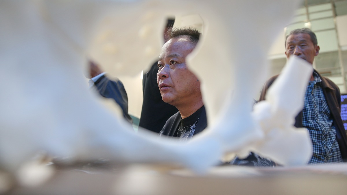 李二孬的泥偶：一个老人与两个儿子的故事