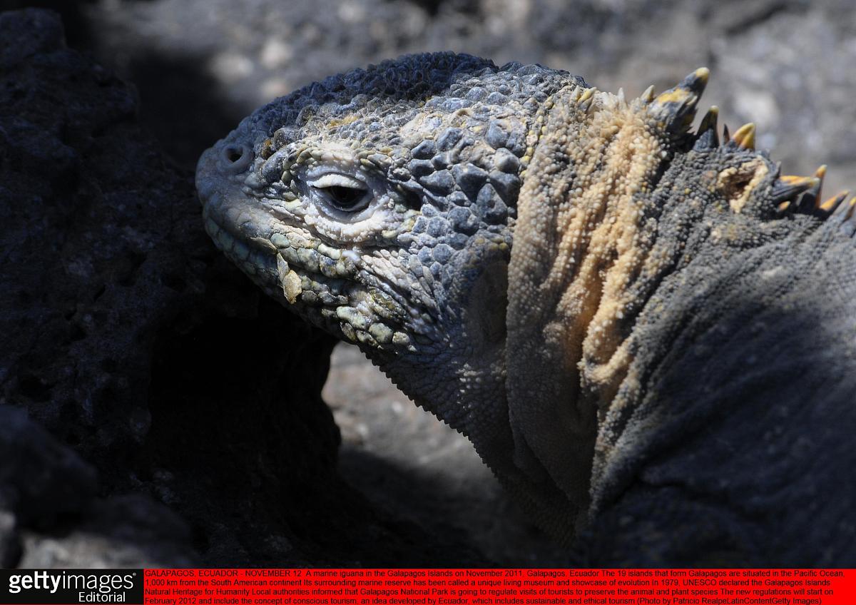 关于海洋防灾减灾宣传活动的讲话稿1左右