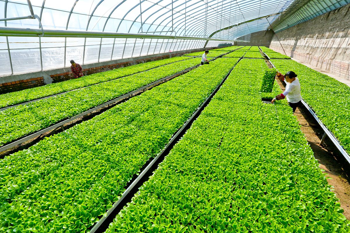 日照职业技术学院钢铁智能冶金技术专业就业方向有哪些