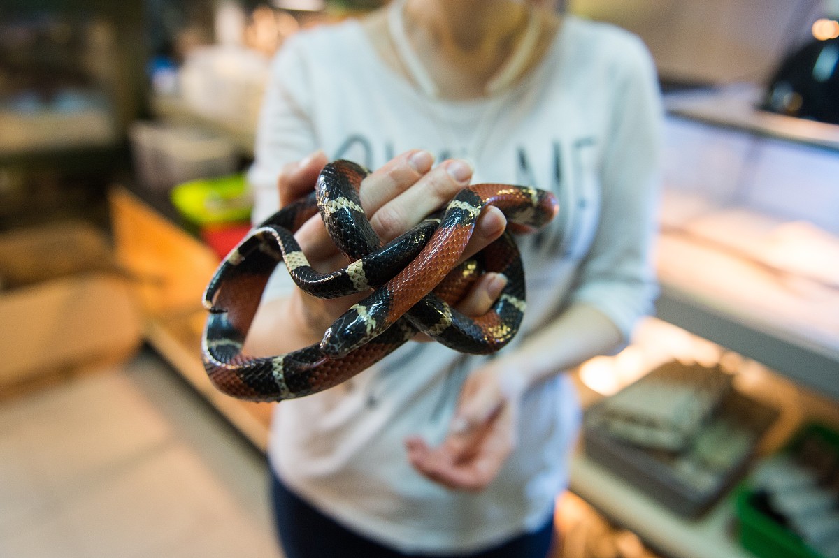 萍乡卫生学校2022年招生专业有哪些？ - 医学影像、检验、康复、护理