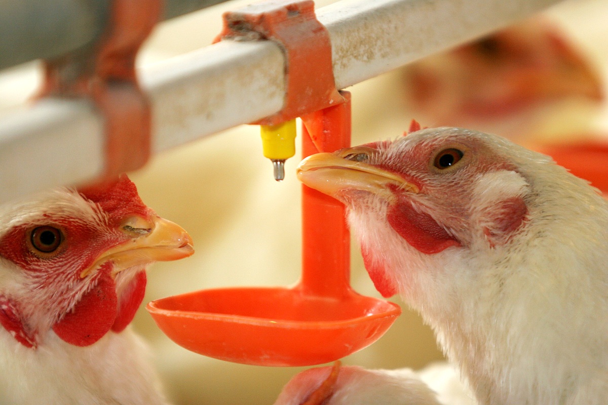 重庆工商学校工程造价专业怎么样？就业前景如何？