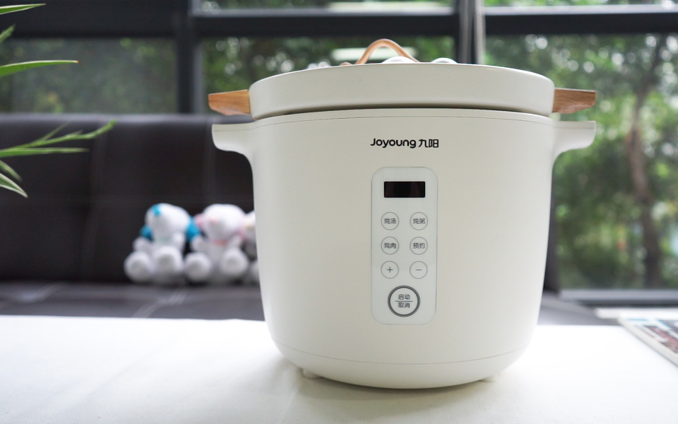 如何煲一锅好汤?看完这个电炖锅对比评测告诉你答案