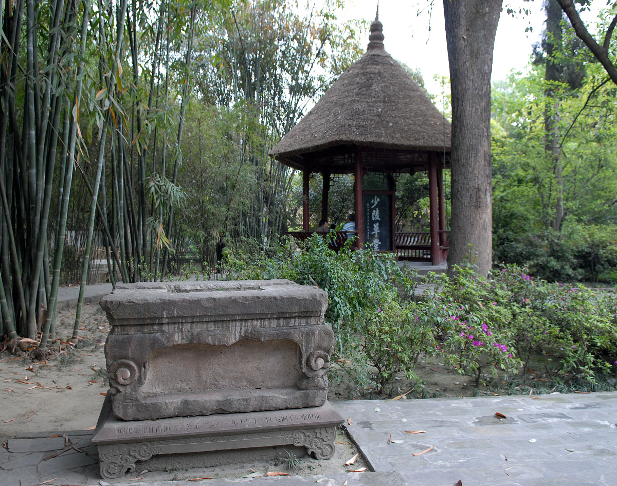 以锦江春色——杜甫诗里的春天为主题写一篇1000字的讲座观后感