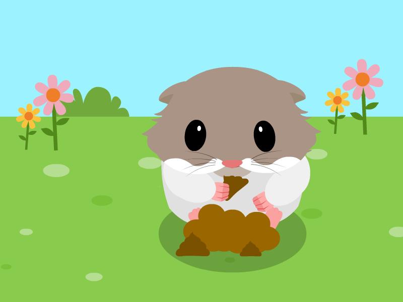 仓鼠为什么吃自己的排泄物?