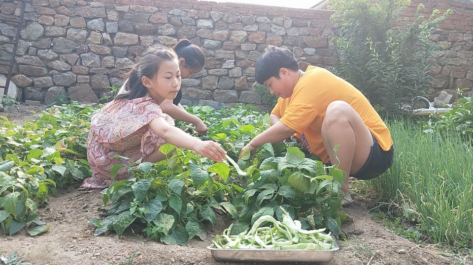 从园子里摘点豆角,搭配茄子和土豆,柴火大锅一做,出锅比肉都香