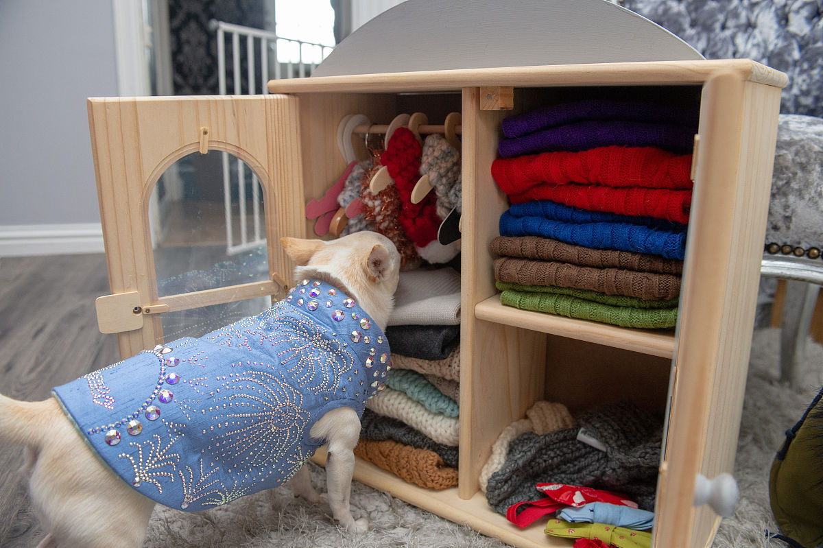 贵州开设汽车美容与装潢专业的中专中职学校有哪些好不好