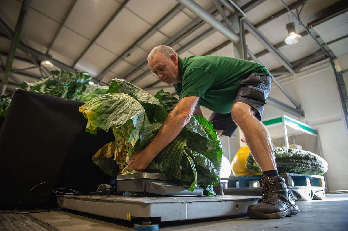保山技工学校2022年果蔬花卉生产技术专业招生简章