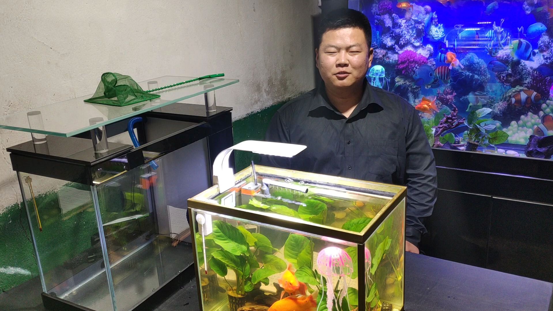 买鱼缸应该注意哪些问题,不要商家推荐什么就买,不一定适合你