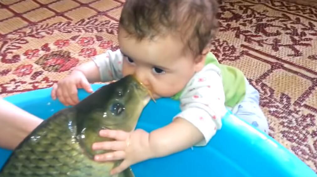 宝宝抱着大鱼亲了一口,鱼的反应绝了,忍住可别笑!