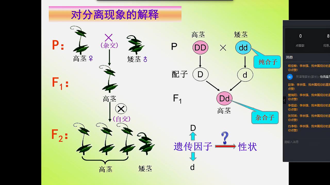 [图]1-1孟德尔豌豆杂交实验(一)第二课时