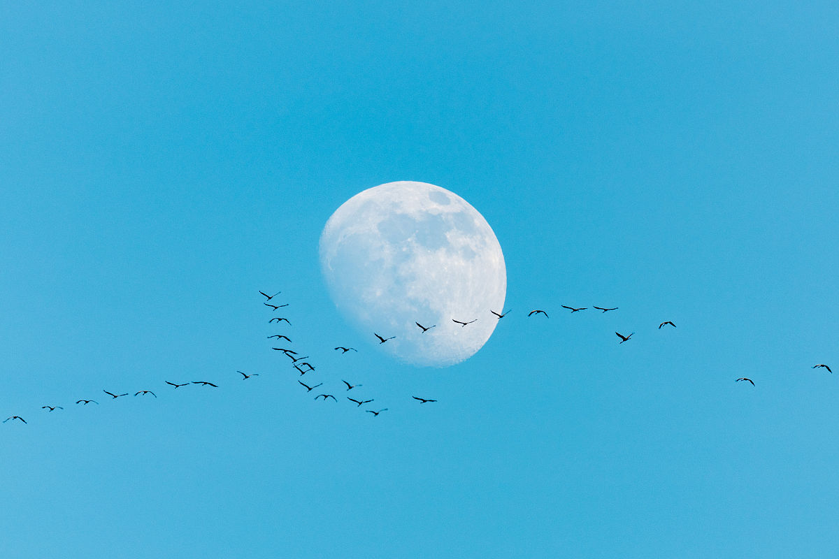 甘肃北方技工学校：计算机就业前景分析