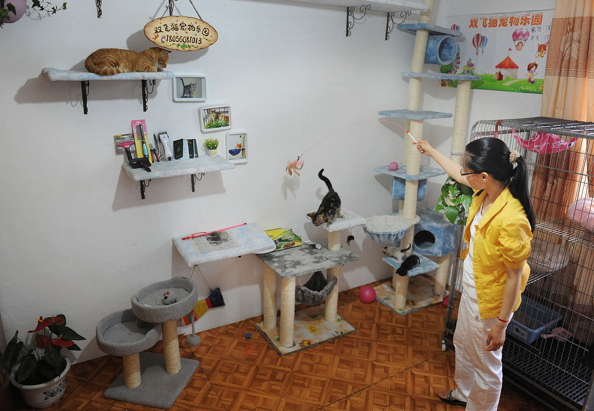 猫旅馆物语手游更新日志 - 版本1.2.0