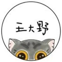 王大野的猫