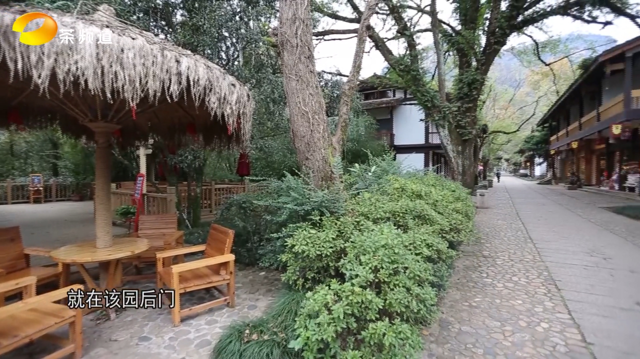 [图]世界上最大的“茶馆”,张艺谋与武夷山的山水实景《印象大红袍》