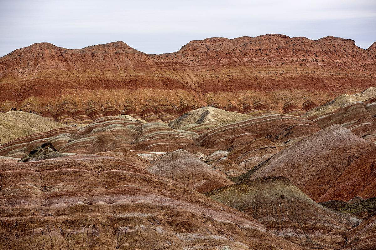 甘肃卫生信息管理专业大学排名及就业方向解读