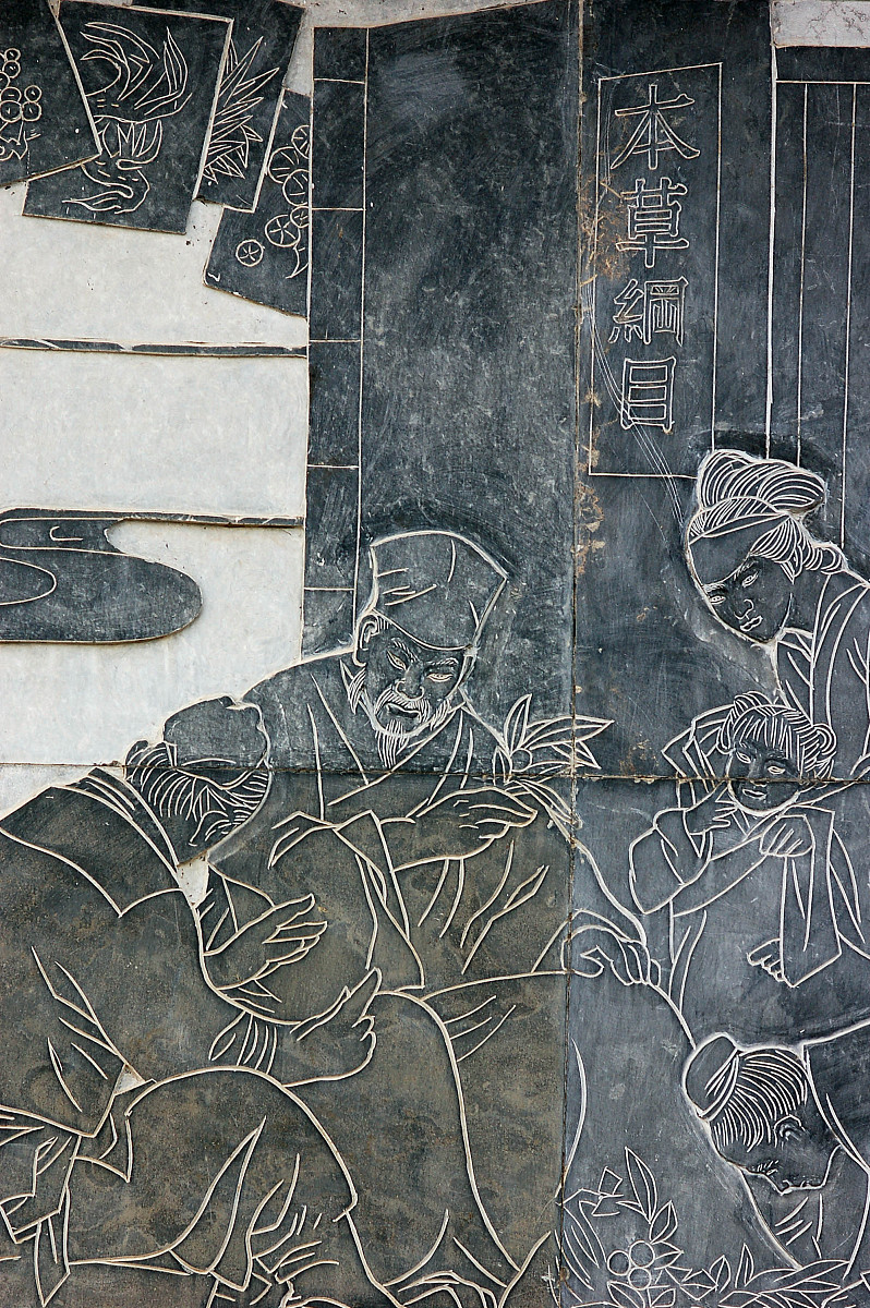 扩充以下文字：汉语言文学师范专业的相关课程群包括语言文学、教育学、史学等。学生可以选择在这些领域深入学习以提升自己的专业能力。就业方向包括中小学语文教师、文学研究员、出版编辑等。