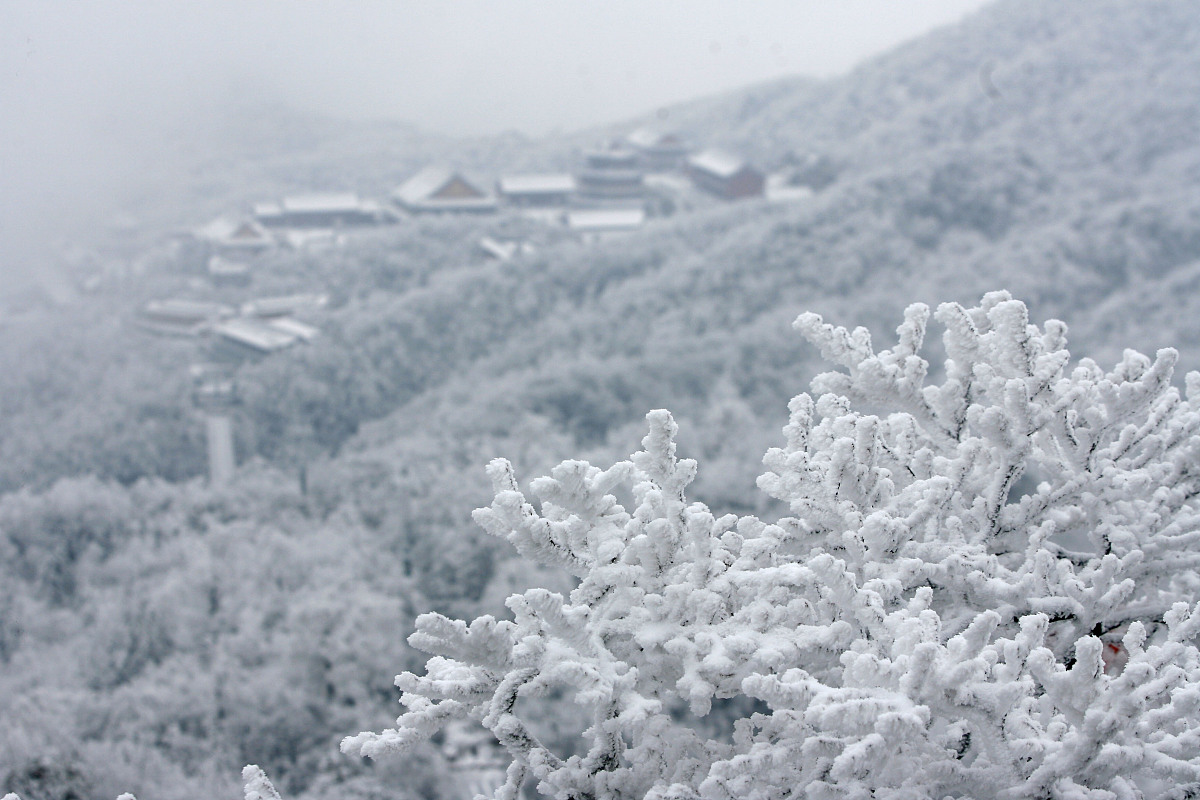 ***_***(湖北武汉媒体严禁下载)2011年1月3日,新年首场大雪过后,张家