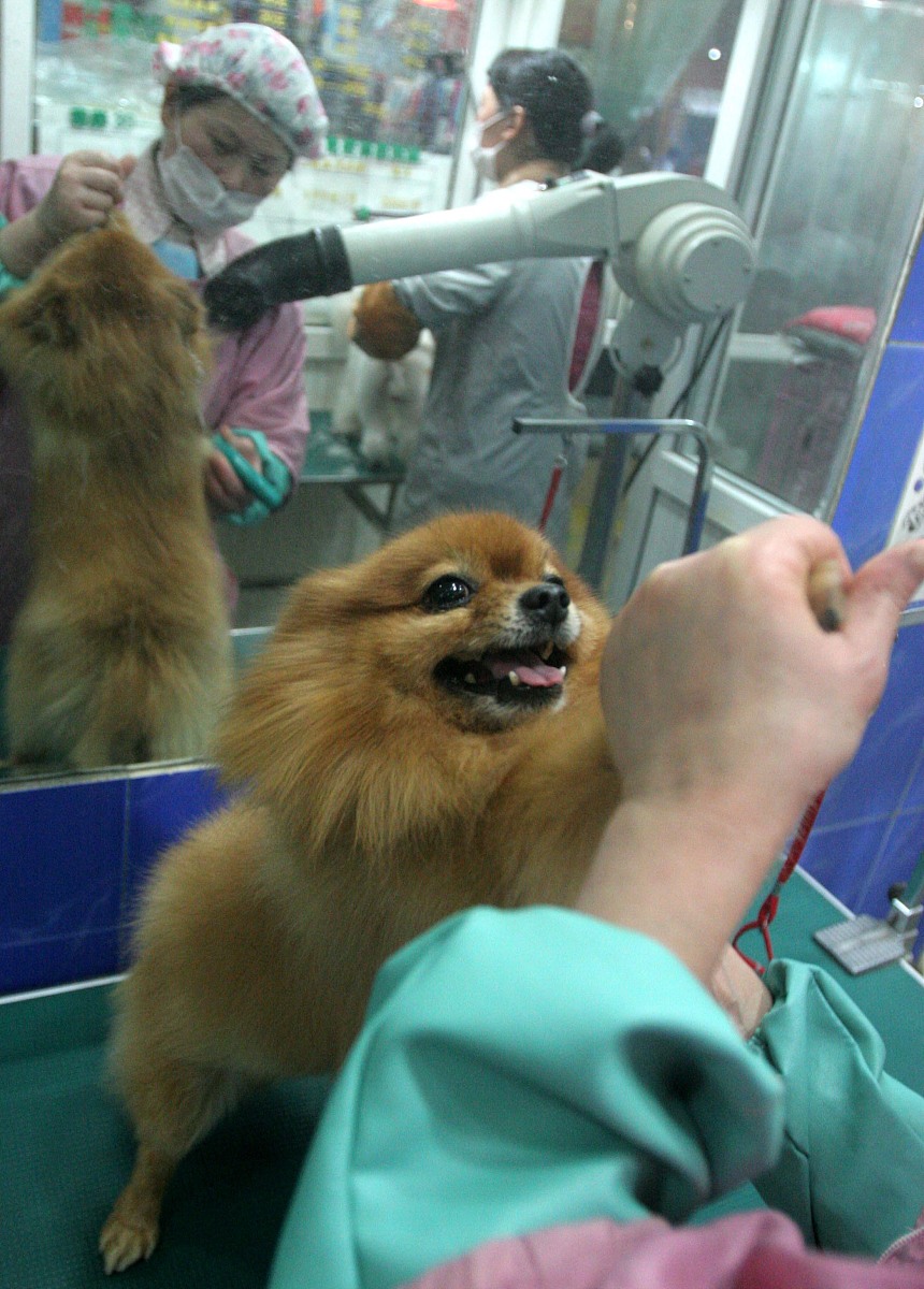 湖州市现代农业技术学校宠物养护与经营专业好学吗就业前景好不好